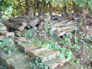 It consists of vertical and horizontal logs, planks, sticks and stone piles with some ferns added